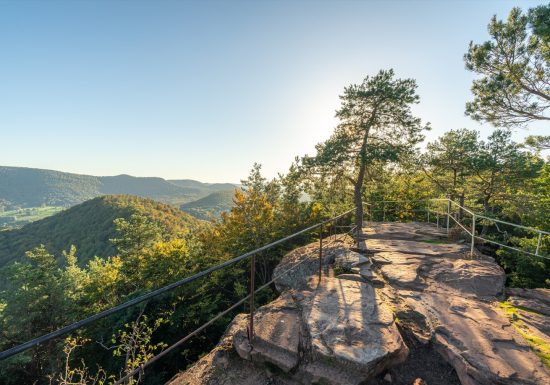 Grande traversée pédestre des Vosges au fil des GR