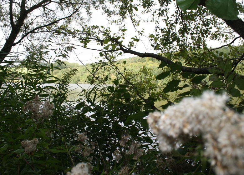 Circuit de randonnée de la piscine au plan d’eau