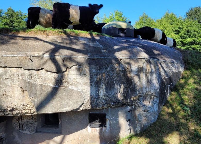 Conservatoire Ligne Maginot – Casemate de Neunhoffen