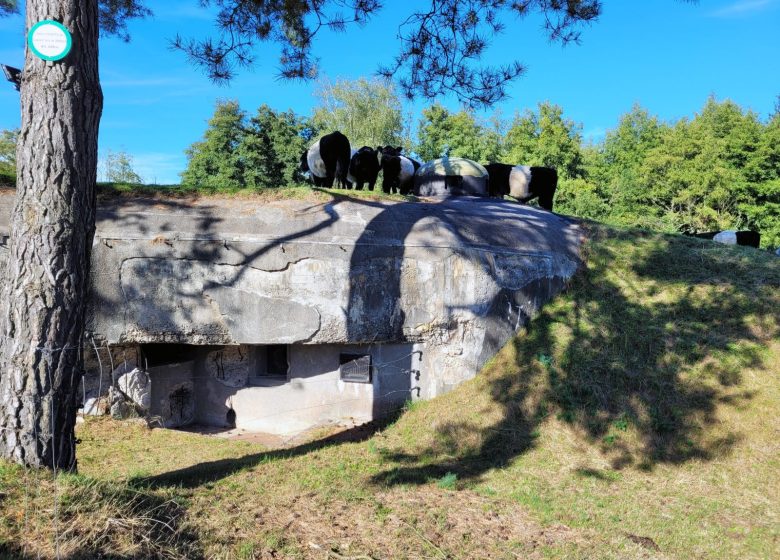 Conservatoire Ligne Maginot – Casemate de Neunhoffen