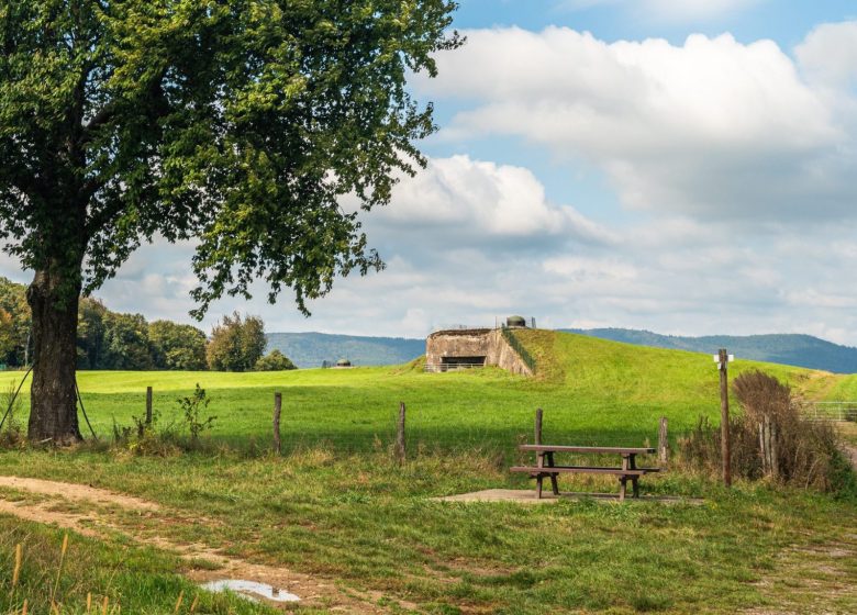 Aire de pique nique – les coupoles du Fort de Schoenenbourg