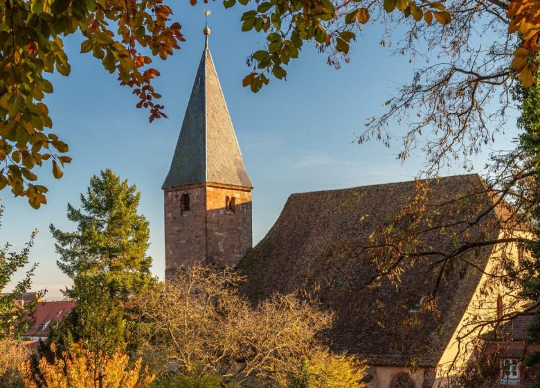 Journée église verte, permaculture